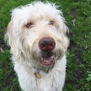 Meet your Posher, Joann